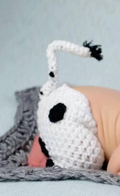 Cow Suit Baby clothes